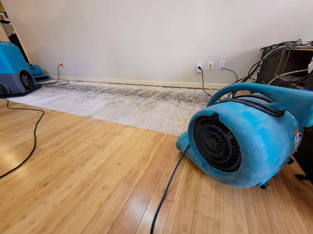 Professional Water Extraction technician working in Stuart, VA